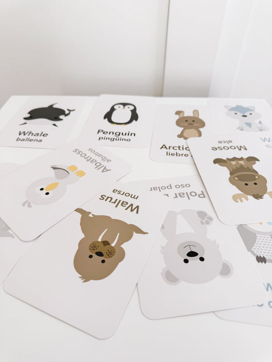 Arctic Animals Flashcards for Toddlers | Wildlife Learning Cards for Preschoolers GoodnightFox
