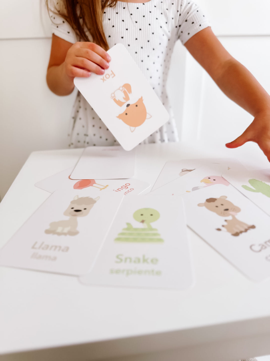 Desert Animal Flashcards for Toddlers | Wildlife Learning Cards for Preschoolers GoodnightFox