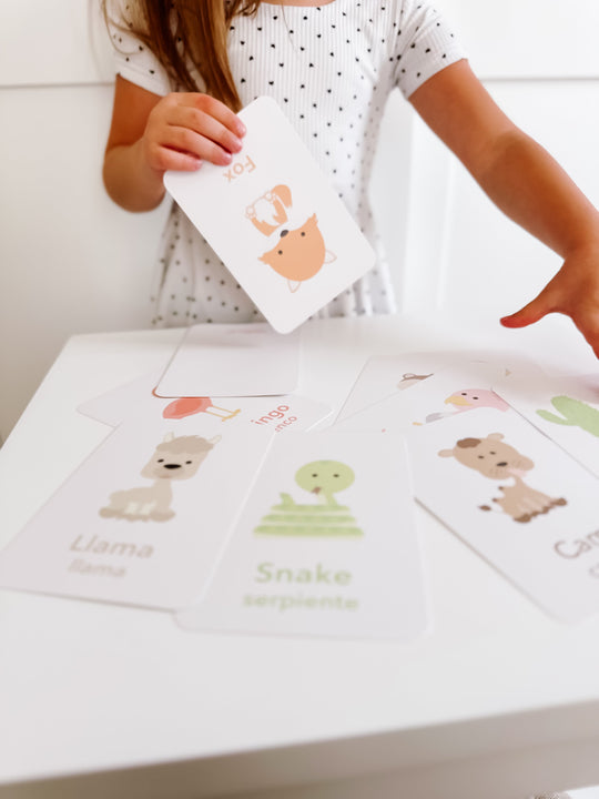 Desert Animal Flashcards for Toddlers | Wildlife Learning Cards for Preschoolers GoodnightFox