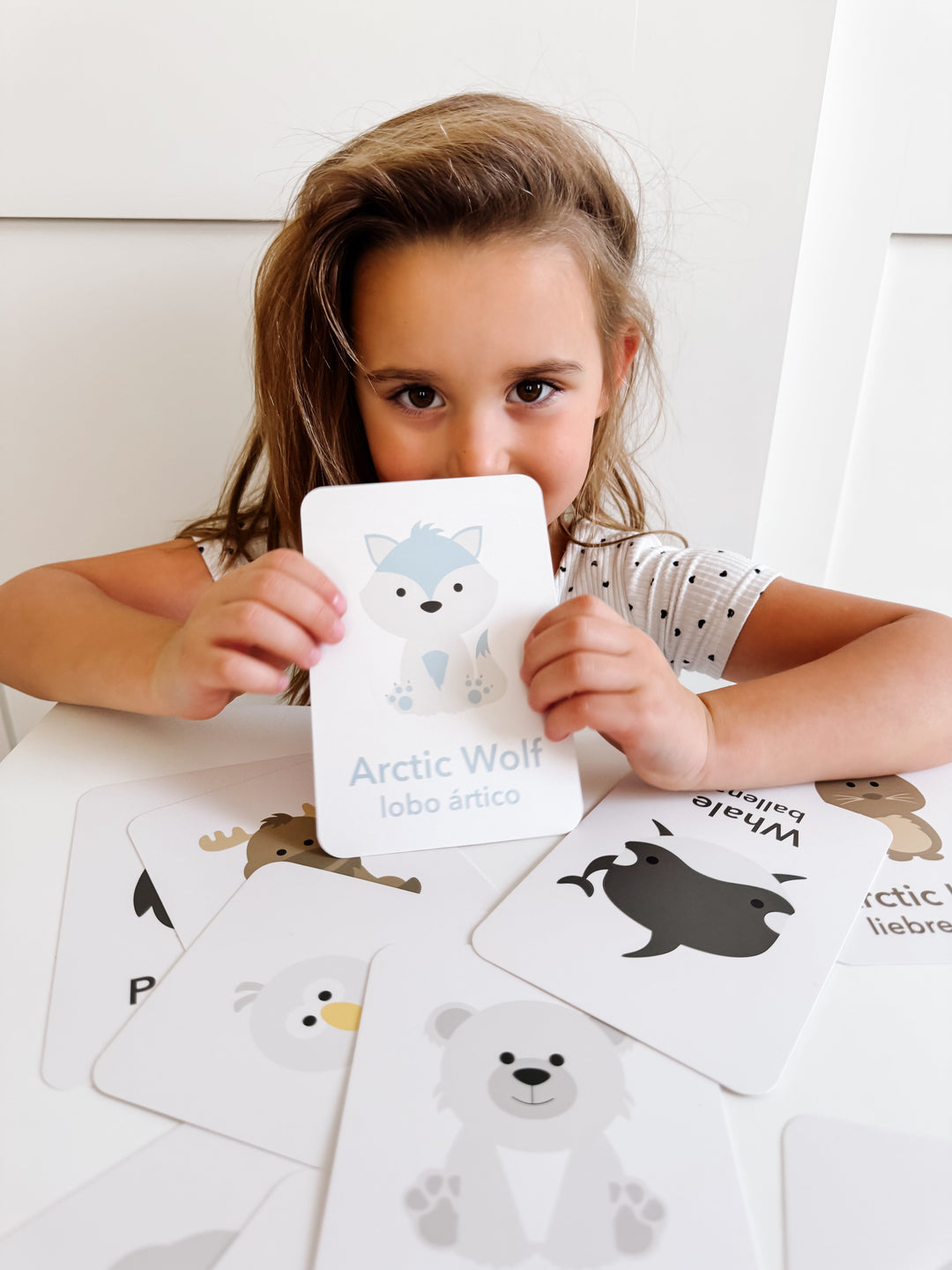 Arctic Animals Flashcards for Toddlers | Wildlife Learning Cards for Preschoolers GoodnightFox