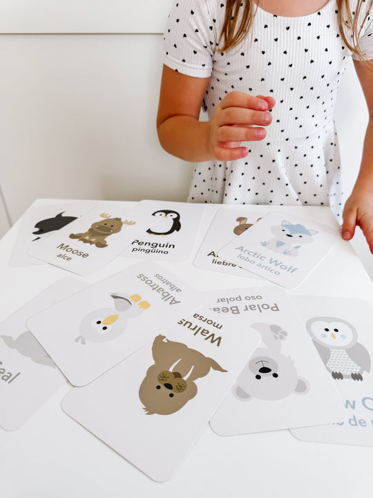 Arctic Animals Flashcards for Toddlers | Wildlife Learning Cards for Preschoolers GoodnightFox
