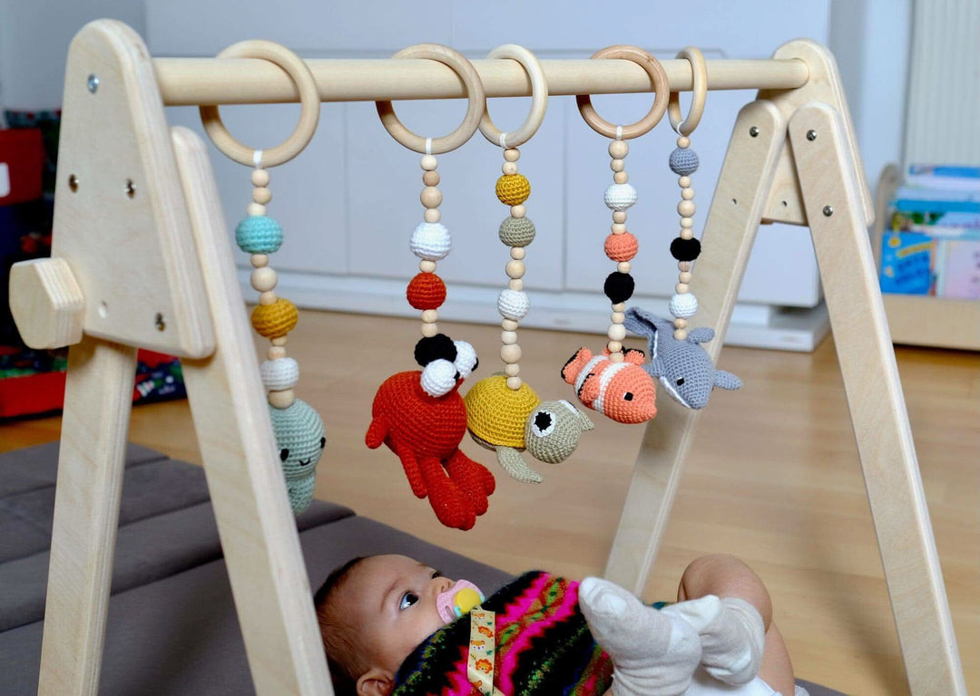 Baby Play Gym & Hanging Toys Kidodido