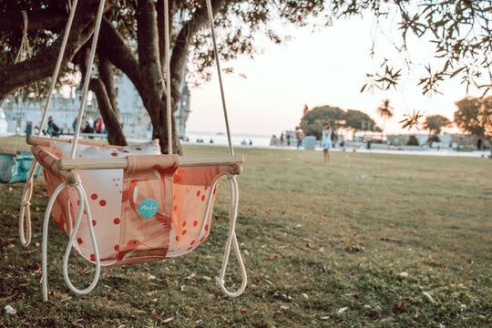 Pink Hummingbird BabySwing CaribHeaven