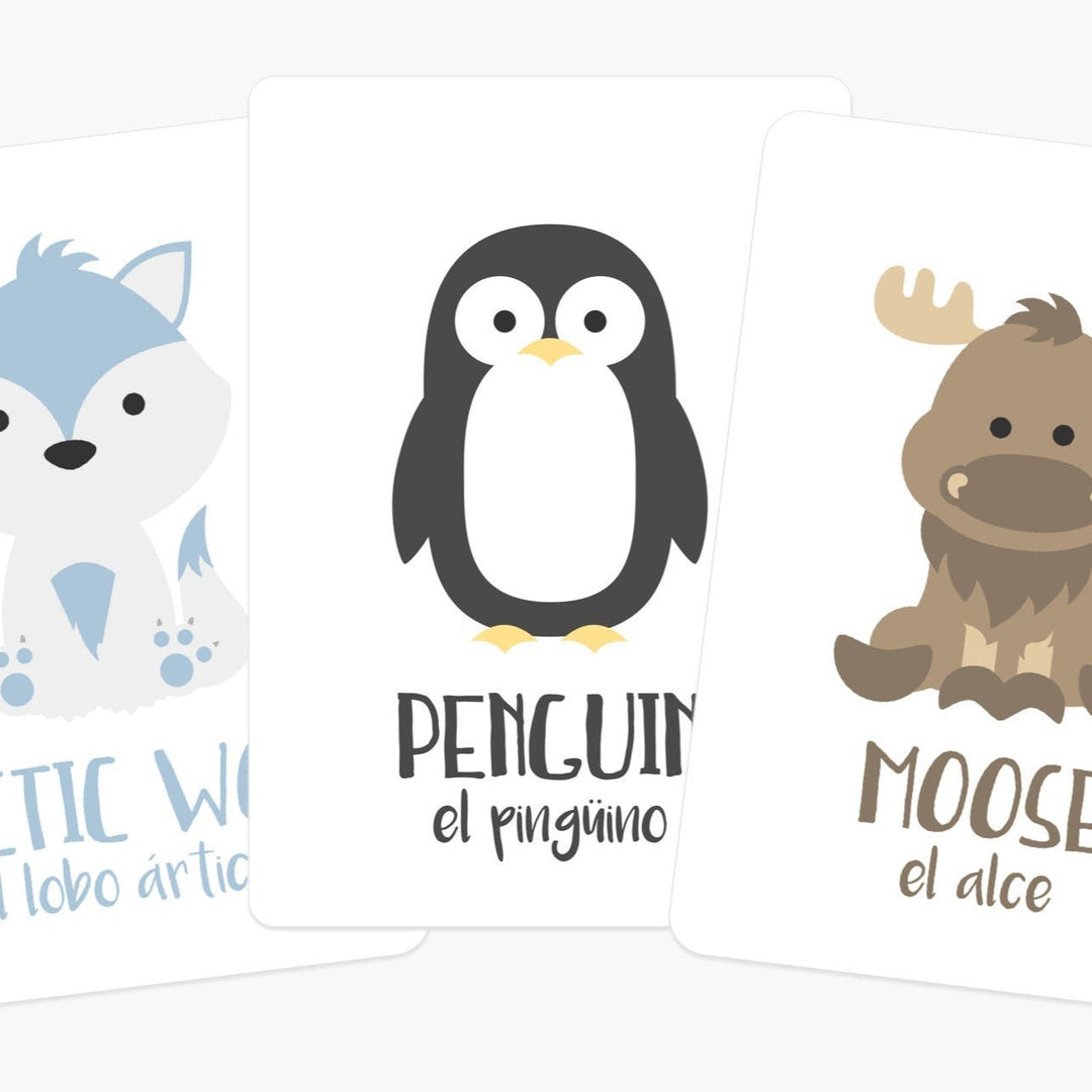 Arctic Animals Flashcards for Toddlers | Wildlife Learning Cards for Preschoolers GoodnightFox