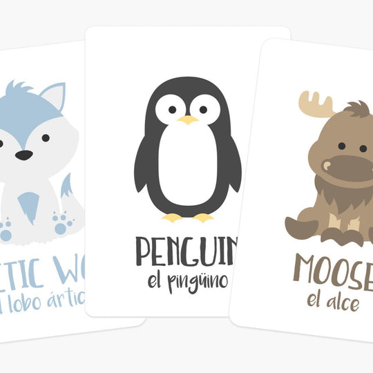 Arctic Animals Flashcards for Toddlers | Wildlife Learning Cards for Preschoolers GoodnightFox