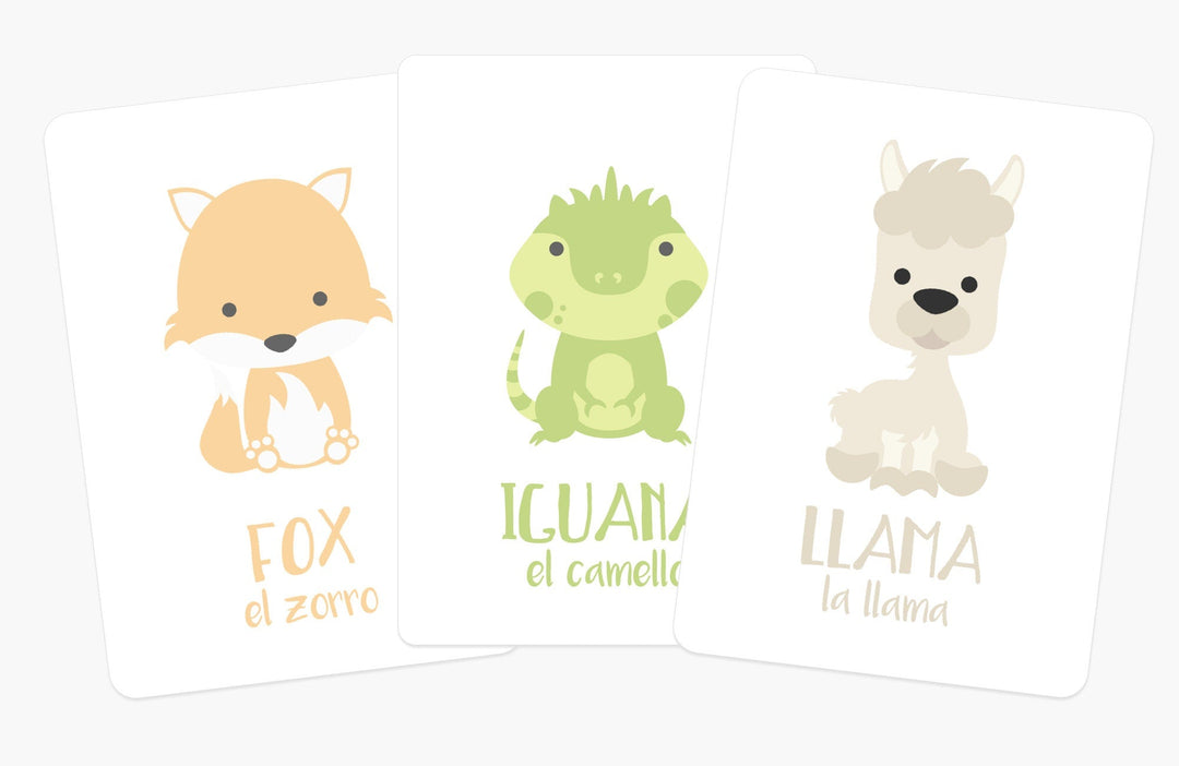 Desert Animal Flashcards for Toddlers | Wildlife Learning Cards for Preschoolers GoodnightFox