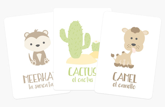 Desert Animal Flashcards for Toddlers | Wildlife Learning Cards for Preschoolers GoodnightFox