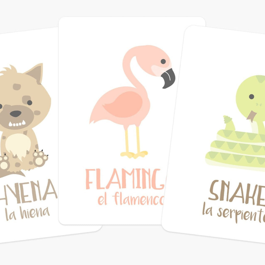 Desert Animal Flashcards for Toddlers | Wildlife Learning Cards for Preschoolers GoodnightFox