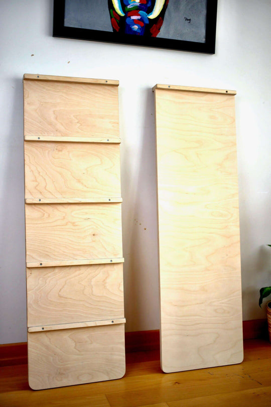Reversible Ladder Climbing / Sliding Ramp Kidodido