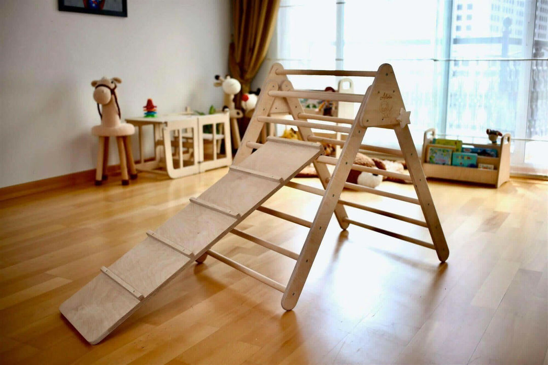 Reversible Ladder Climbing / Sliding Ramp Kidodido